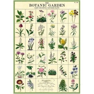 Cavallini & Co. Botanic Garden Vintage Image Chart, 20 x 28 Inch - NWT
